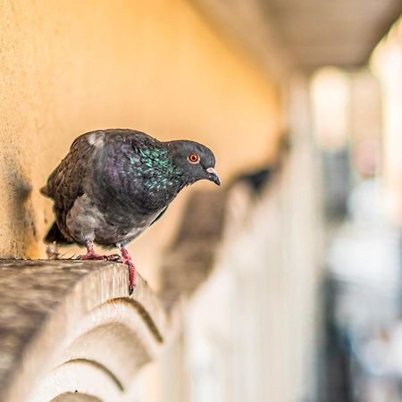 Locally Yours Oporto Apartments エクステリア 写真